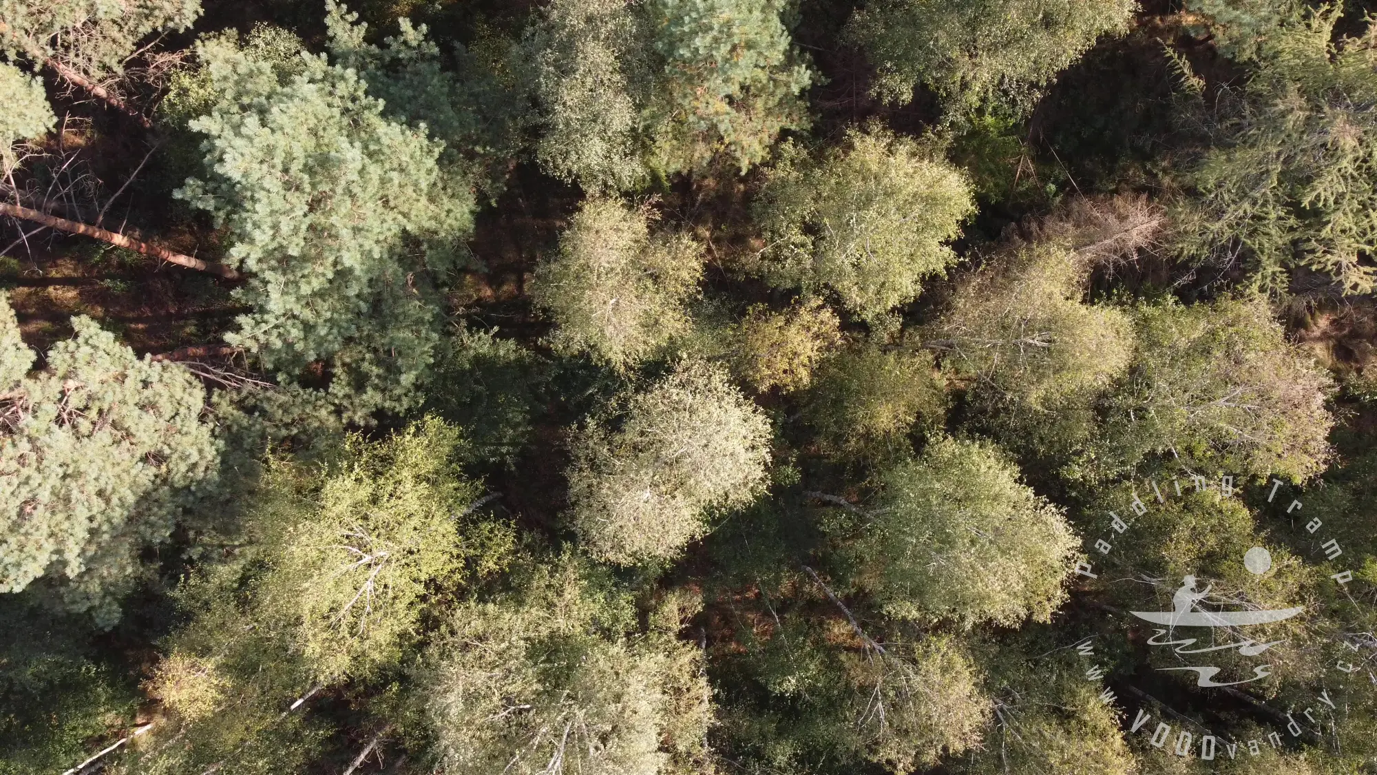 Polská Amazonka na kánoích | Nejkrásnější řeka - Mala Panew | Gumotex Pálava