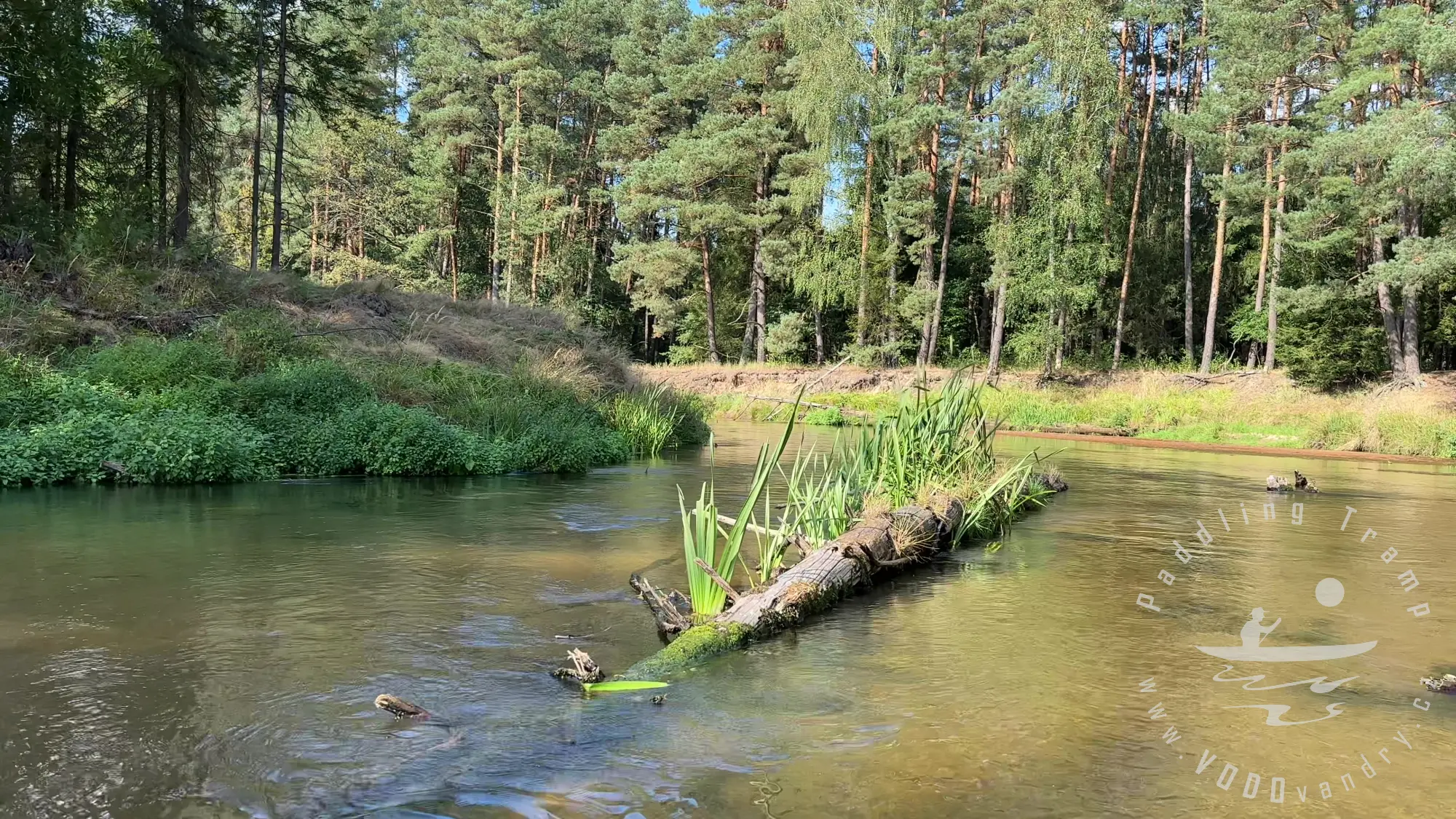 Polská Amazonka na kánoích | Nejkrásnější řeka - Mala Panew | Gumotex Pálava